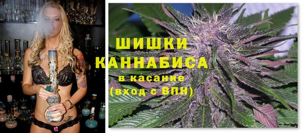 шишки Алексин
