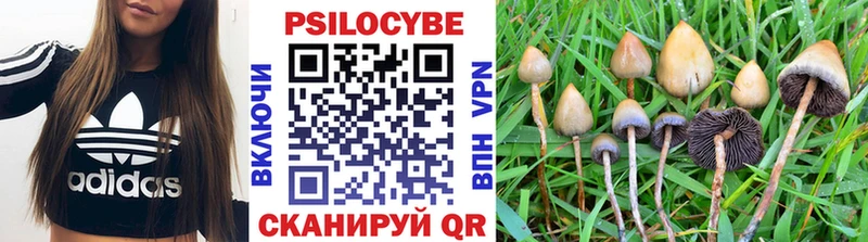 blacksprut онион  Сосенский  Галлюциногенные грибы Magic Shrooms 